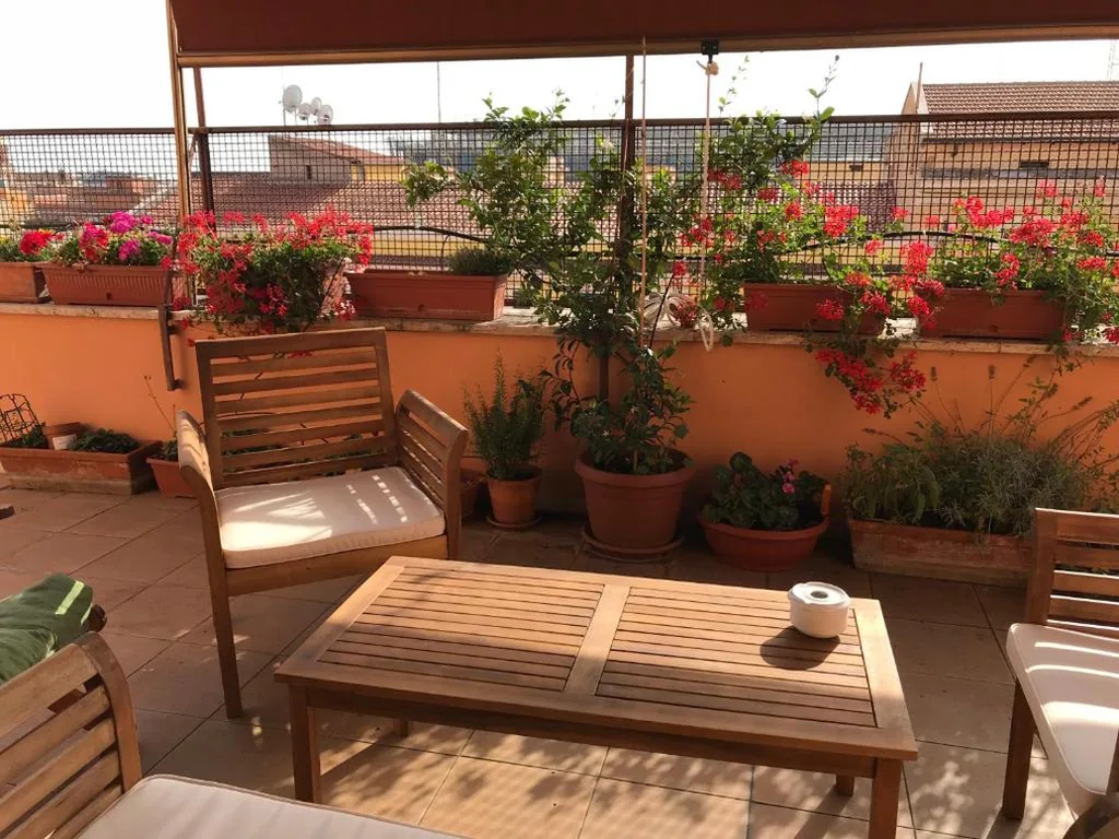 La Terrazza di Evelina Guest House — foto 8