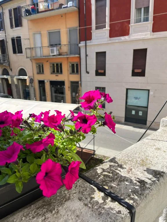 La Terrazza Vercelli Bed & Charme — foto 8