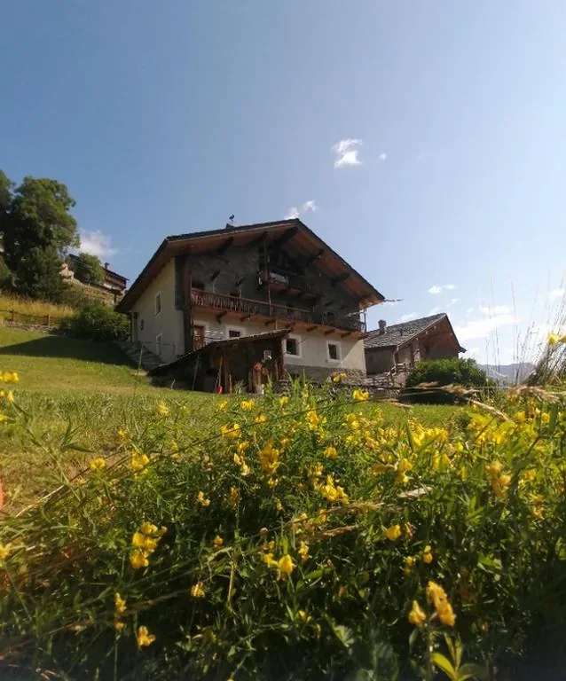 La Thuillettaz B&B Digital Detox — foto 6