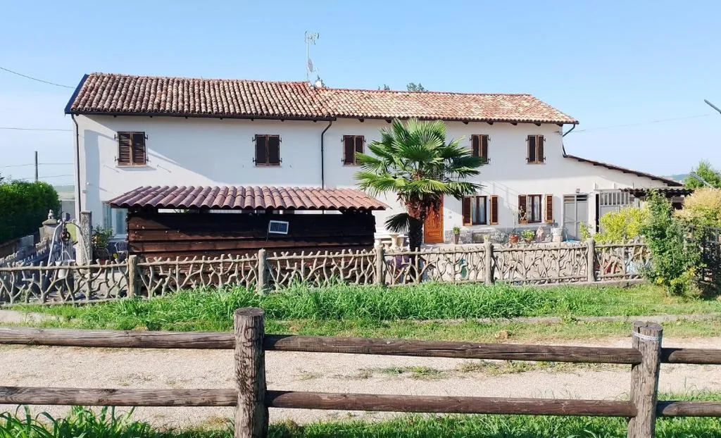 La vigna — foto 6