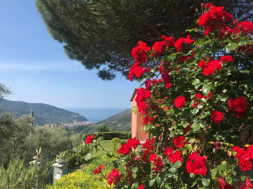 La Vignana – 5 Terre — foto 3
