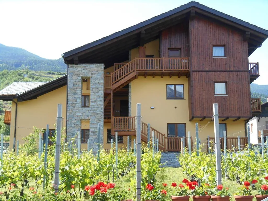 La Vigne de Papagran — foto 3