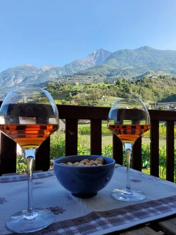 La Vigne de Papagran — foto 5