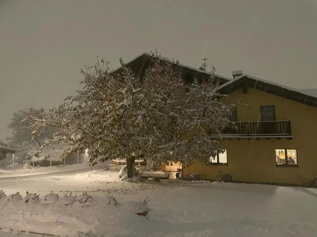 La Vigne de Papagran — foto 6