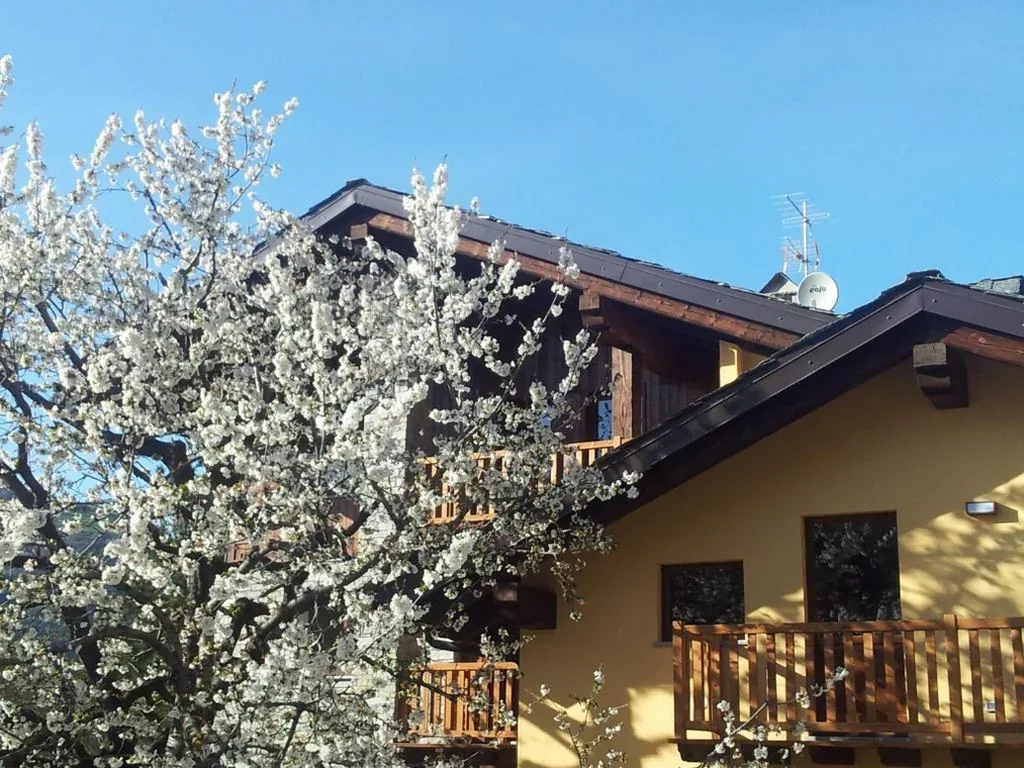 La Vigne de Papagran — foto 8