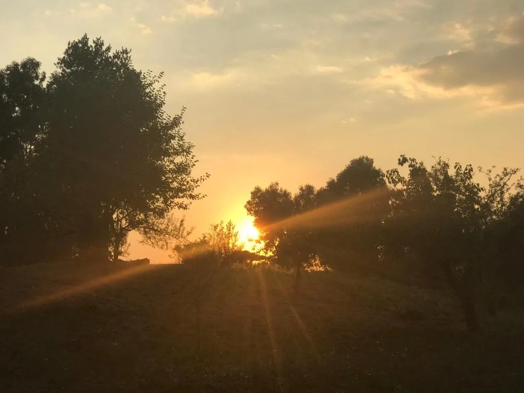 La villetta dei sogni nel Parco — foto 3