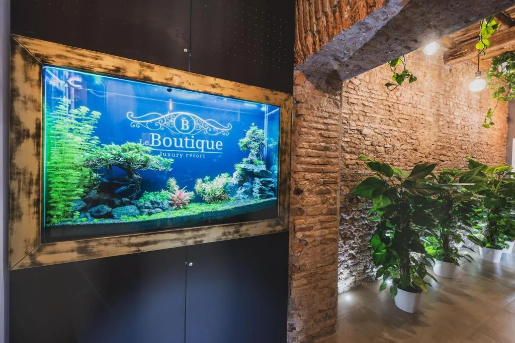 Le Boutique Luxury Rooms diffused in historical center