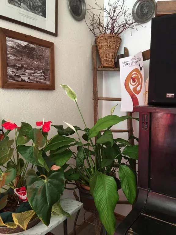 Le Lierre — foto 5
