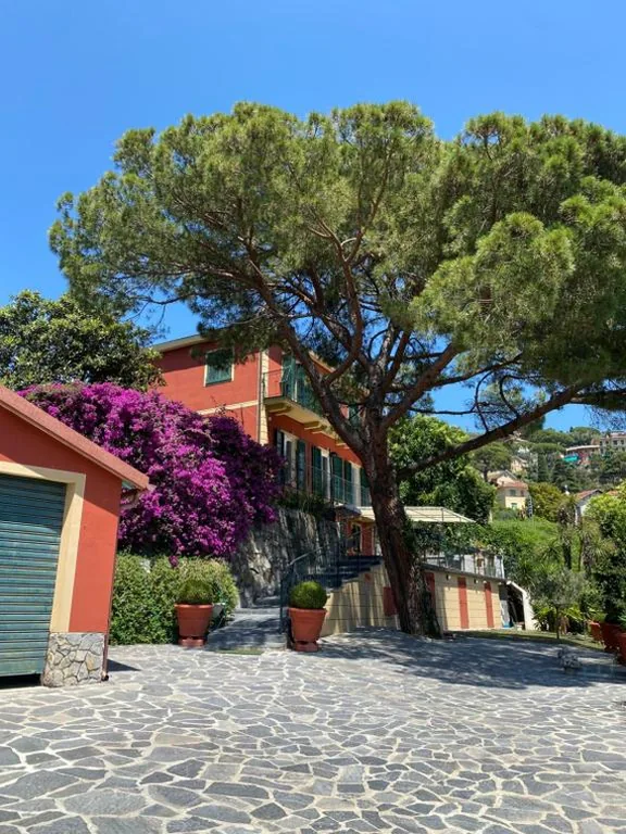 Le Magnolie — foto 5