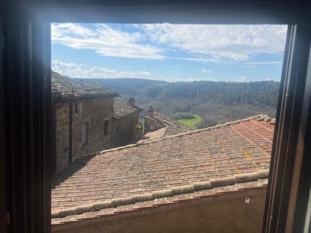 Le mie origini — foto 5
