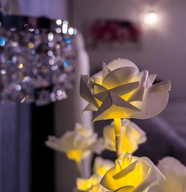 Le Rose — foto 8