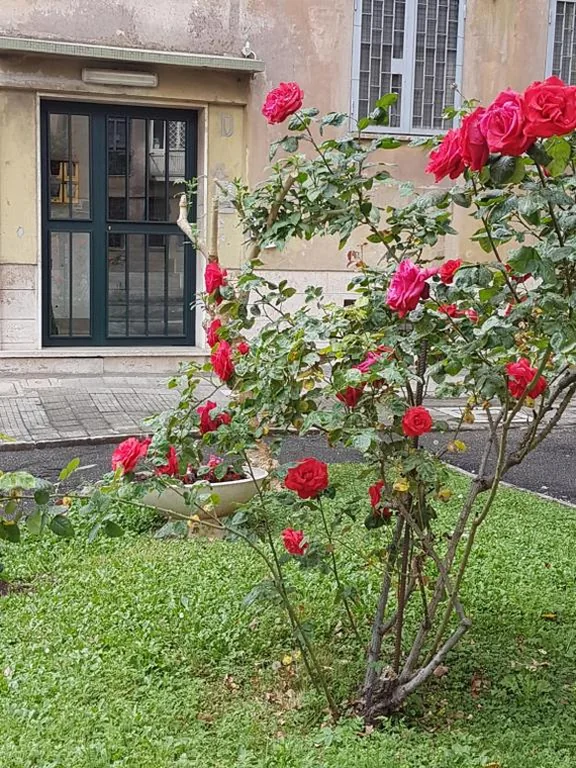 Le Tre Sorelle B&b Garbatella — foto 6