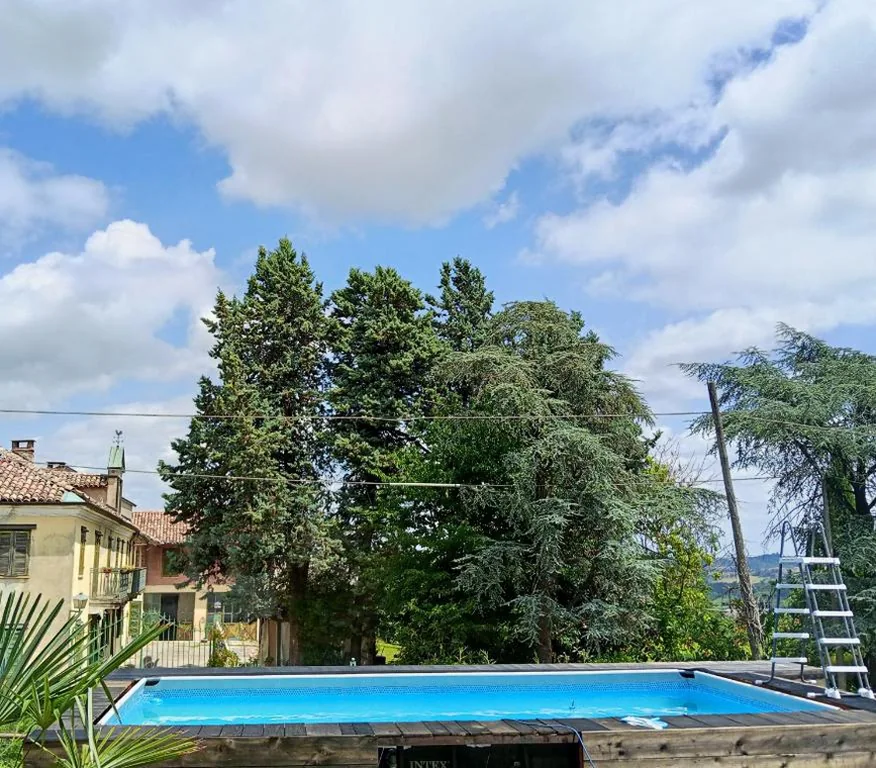 Le vigne — foto 4
