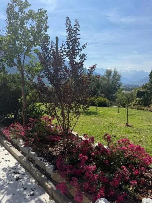 Leo home — foto 6