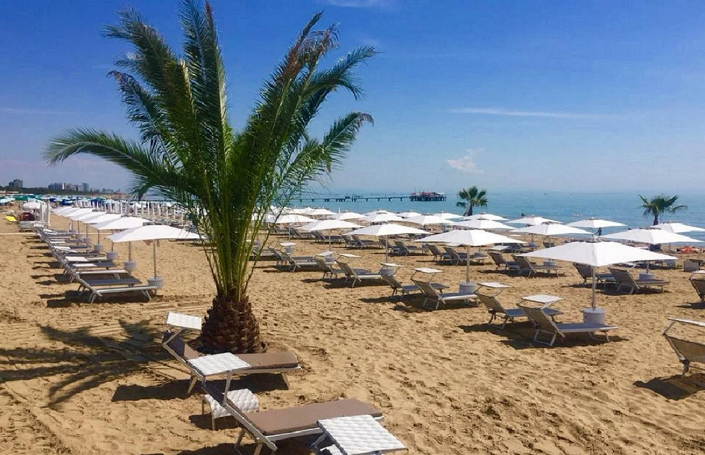 The tree-lined avenues of Lignano Pineta, the green district designed by Marcello D'Olivo