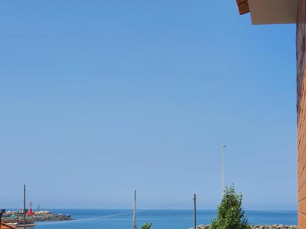 Little Rose guest house — foto 5
