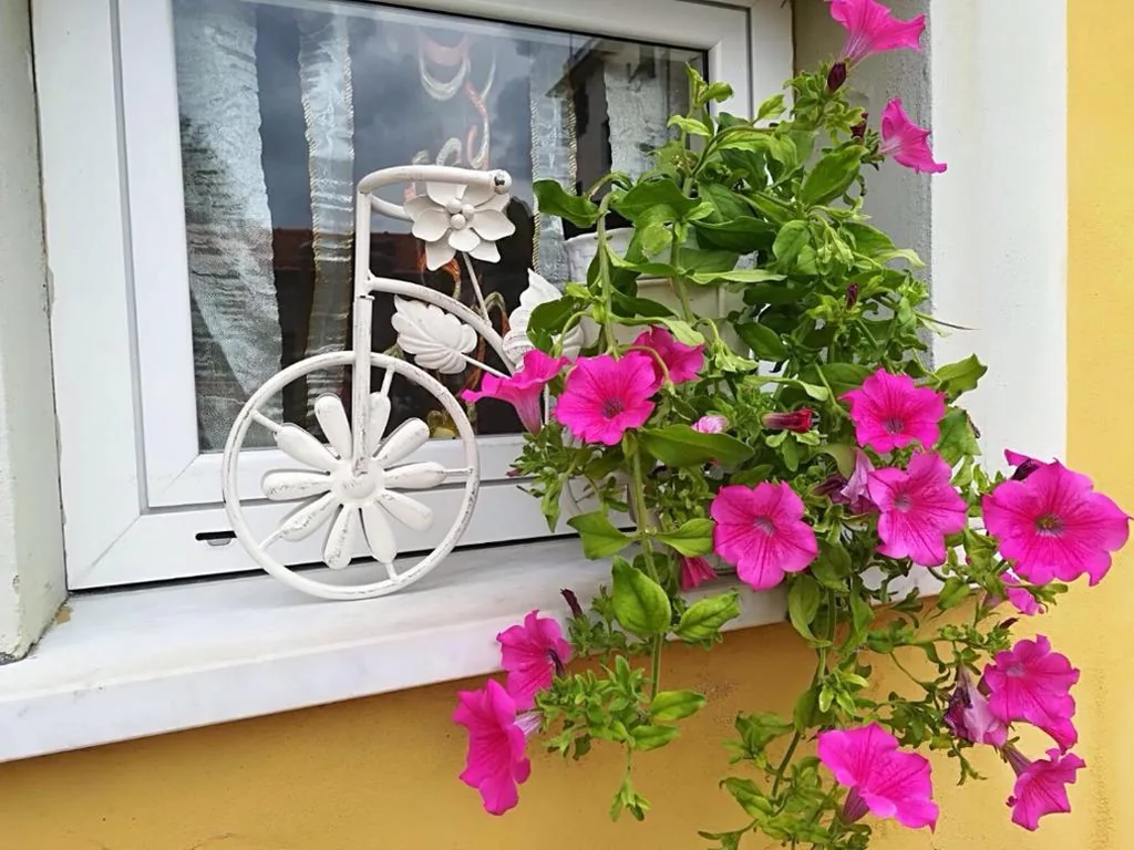 Locanda del Golfo — foto 3