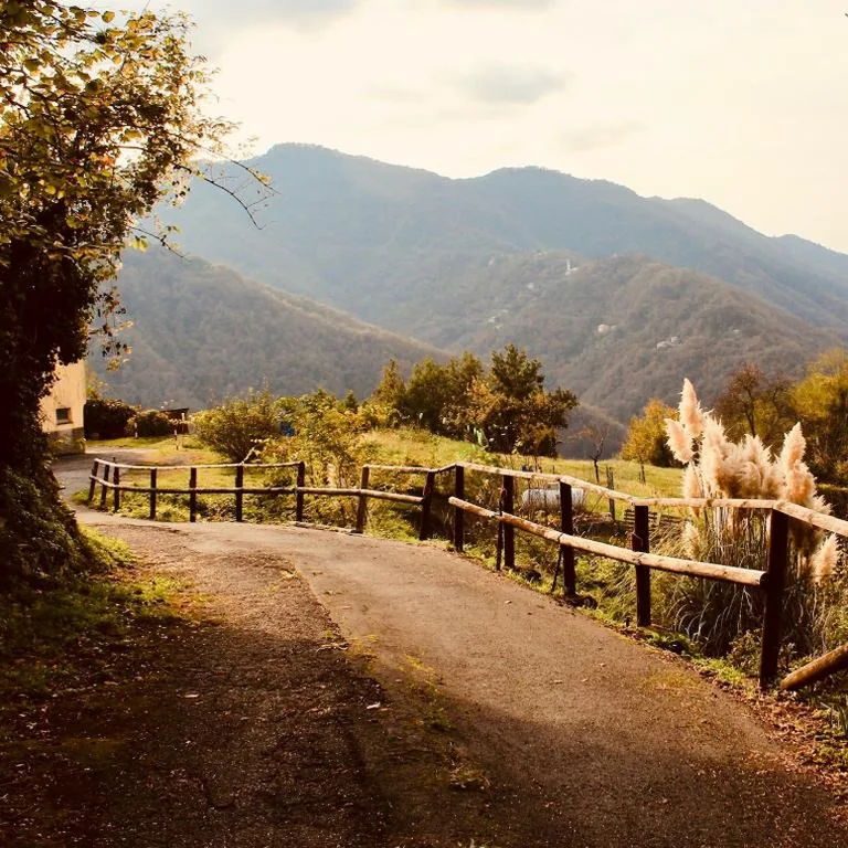 Locanda del Sale Affittacamere — foto 6