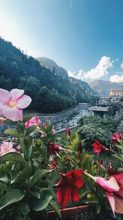 Locanda monte cervino — foto 8