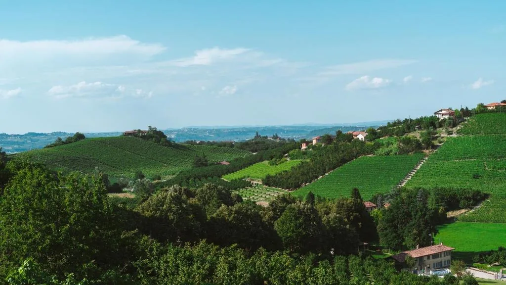 Locanda Stardé — foto 6