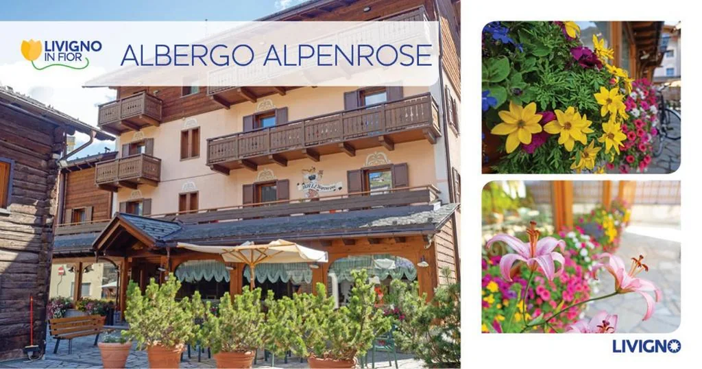Albergo Alpenrose — foto 5
