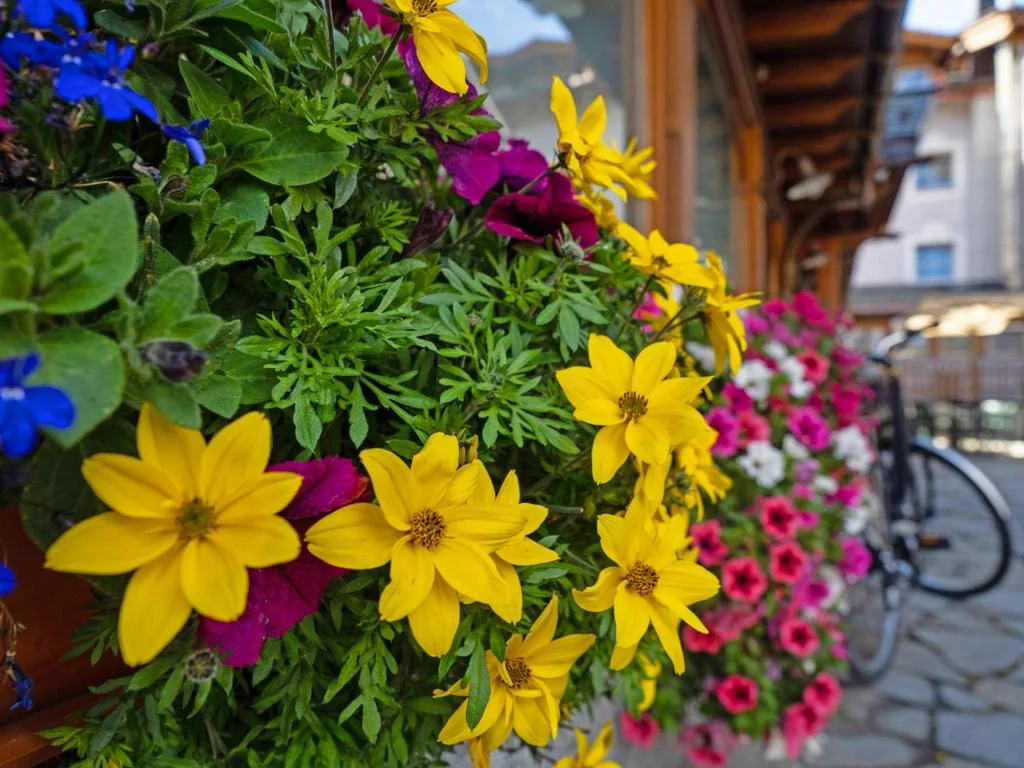 Albergo Alpenrose — foto 8