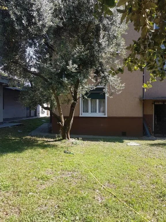 Angolo di isa — foto 4