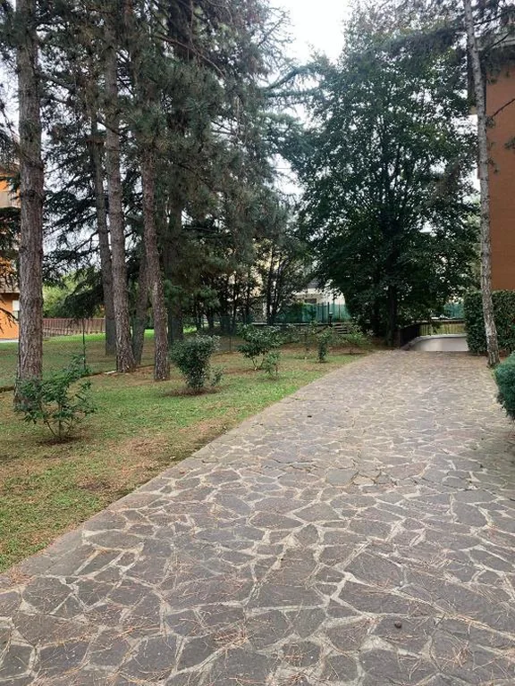 Appartamento brevi periodi “Pedrini’s Welcome Home” — foto 4