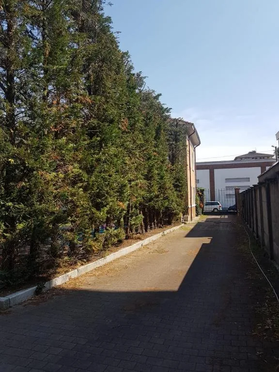 Appartamento con 1 Camera da Letto — Angolo di isa