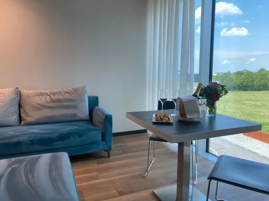 Deluxe One-Bedroom Apartment — Life Hotel