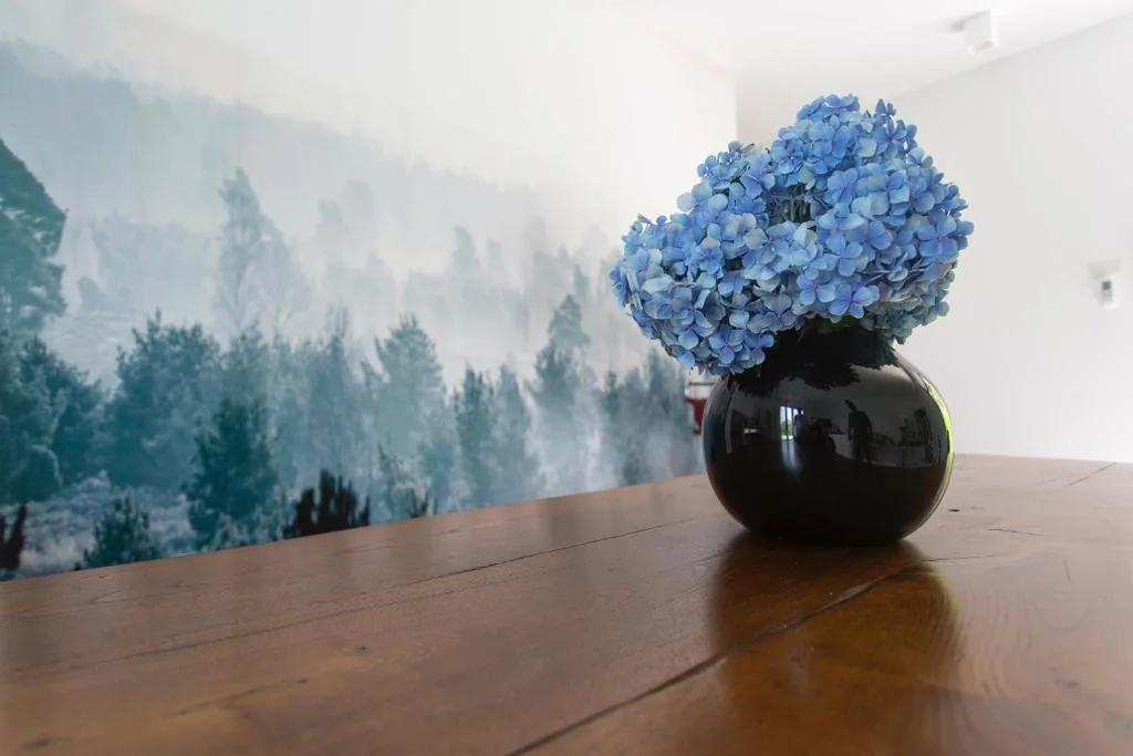 Aqua&Co Bellagio – B&B with love — foto 6
