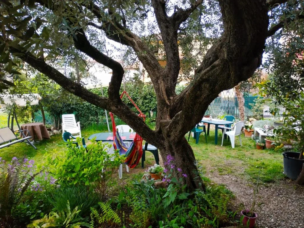 B&B Casa Mia — foto 6