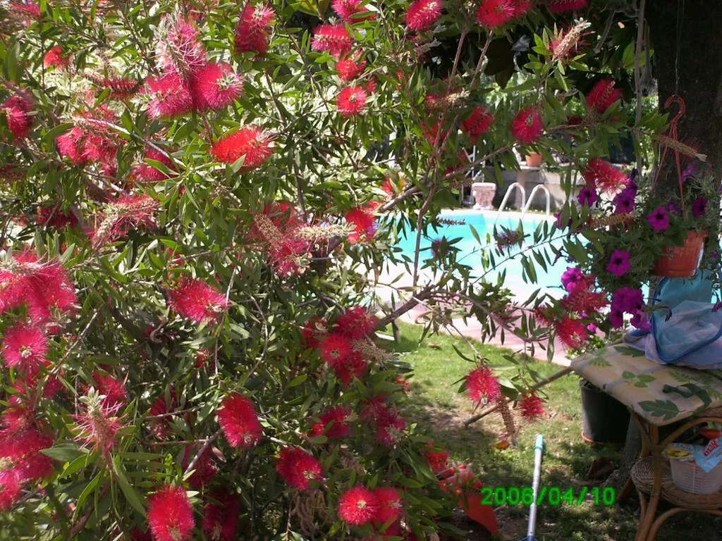 B&B Desenzano — foto 7