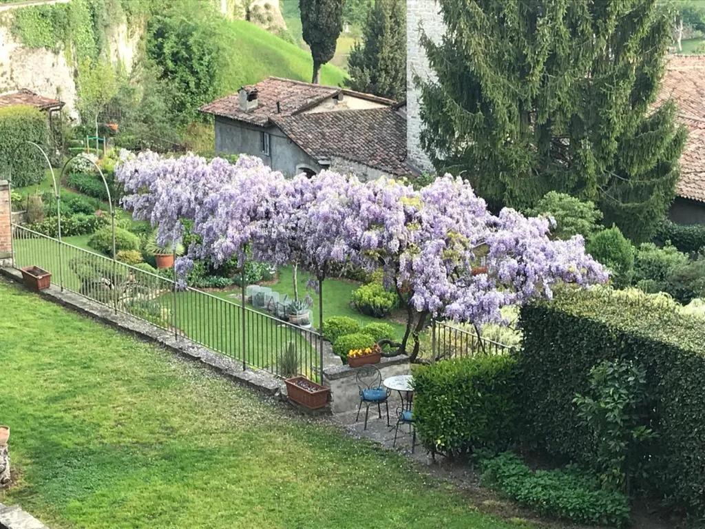 B&B Entro Le Mura — foto 3