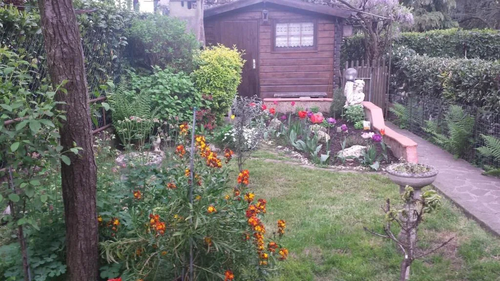B&B il Patio — foto 6