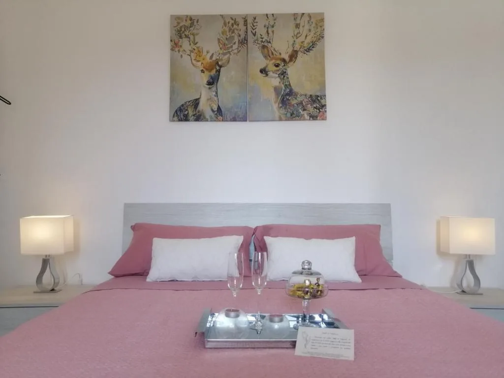 B&B IL TULIPANO free private parking