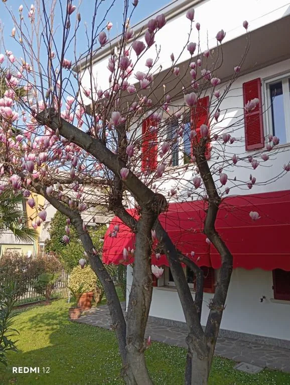 BF SUITE Foresteria Bellusci