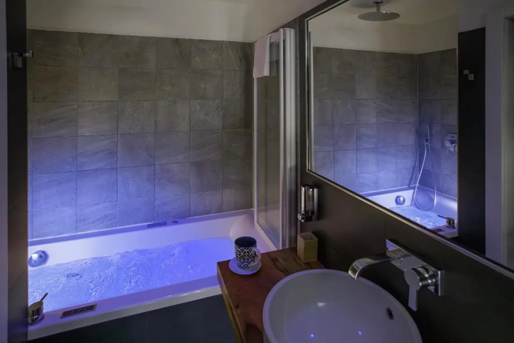 Deluxe Double/Twin Room — Biocity