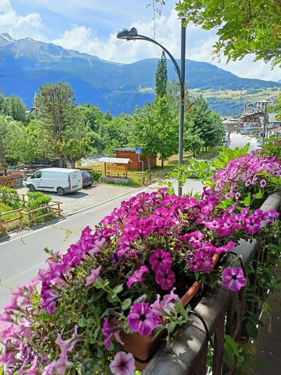 Camera Doppia con Letti Singoli con Balcone — Hotel Daniela