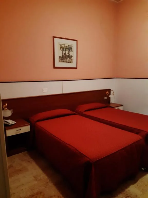 Camera Doppia con Letti Singoli — Hotel Mayorca