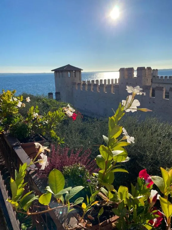 Camera Matrimoniale con Balcone — Hotel Grifone
