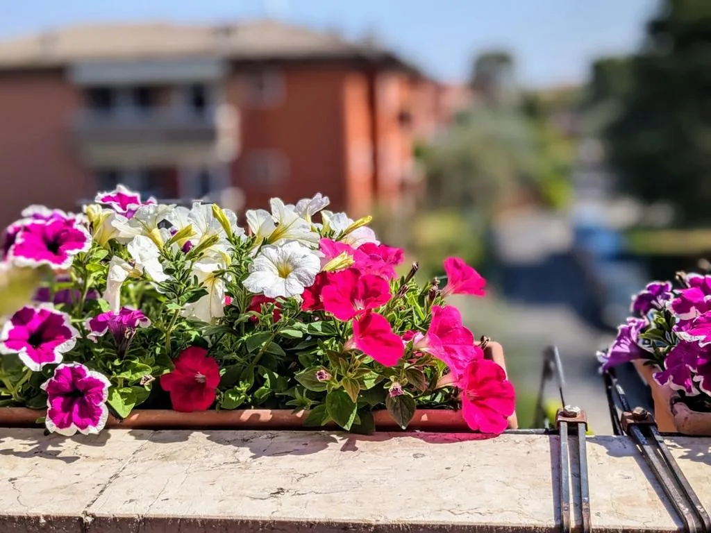 Camera Matrimoniale con Letto Supplementare — B&B The Way Home
