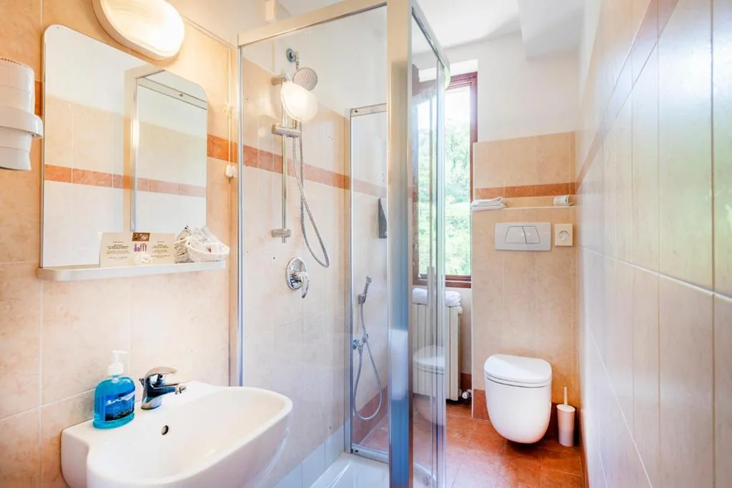 Standard Double Room with Lake View — Hotel Il Perlo