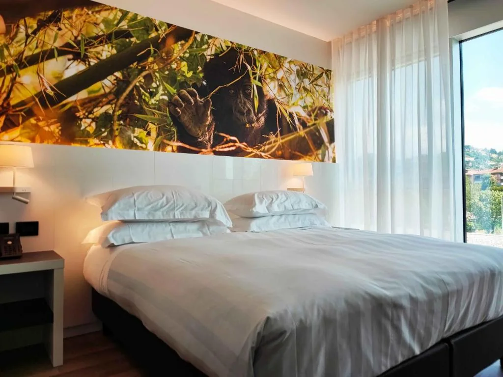 Standard Double Room — Life Hotel