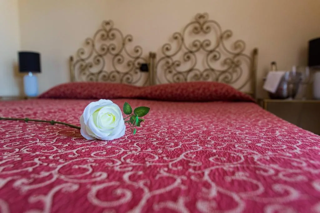 Single Room — Hotel Adria & Resort