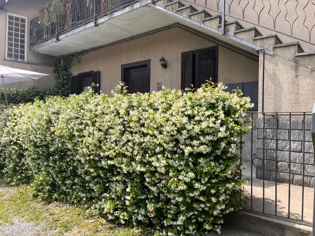 Camera Singola — Il Cortile Como Single & Double Room in apartment NO HOTEL