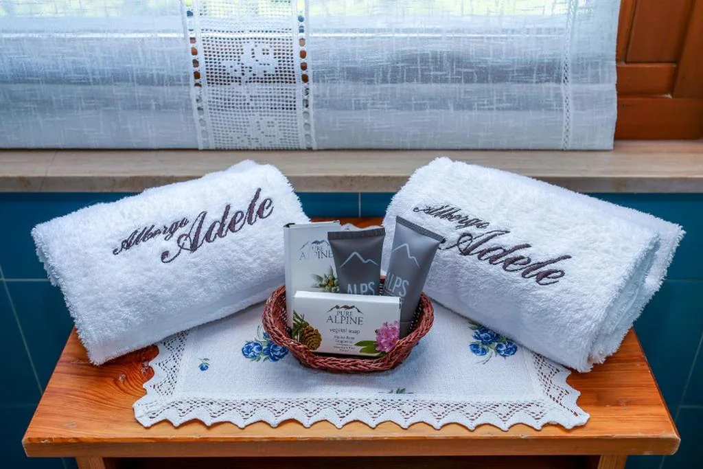 Superior Double/Twin Room with Terrace — Albergo Adele