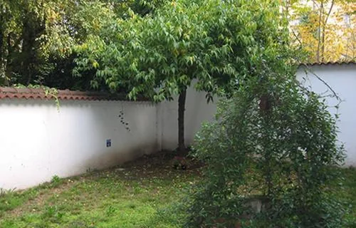 Casa Calicantus — foto 7