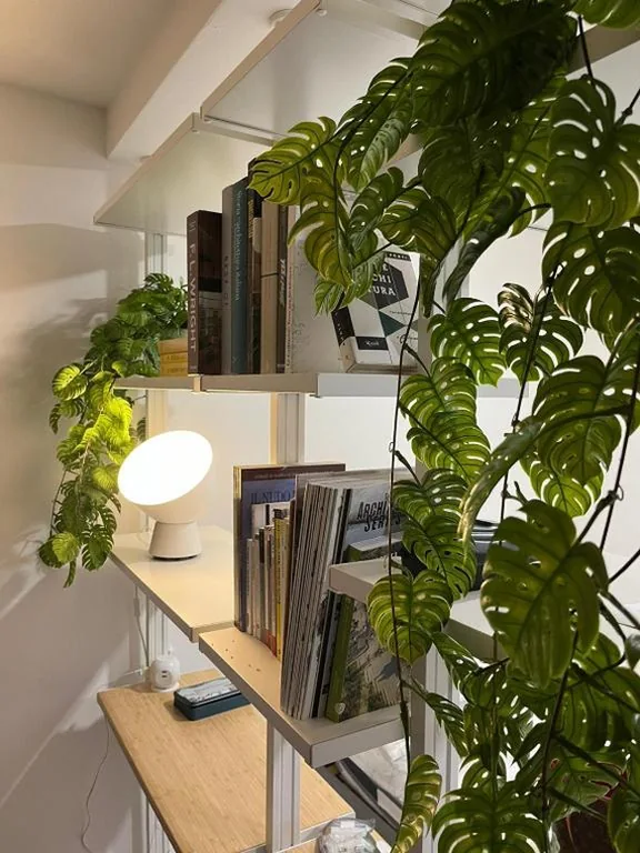 One-Bedroom House — CASA BIA