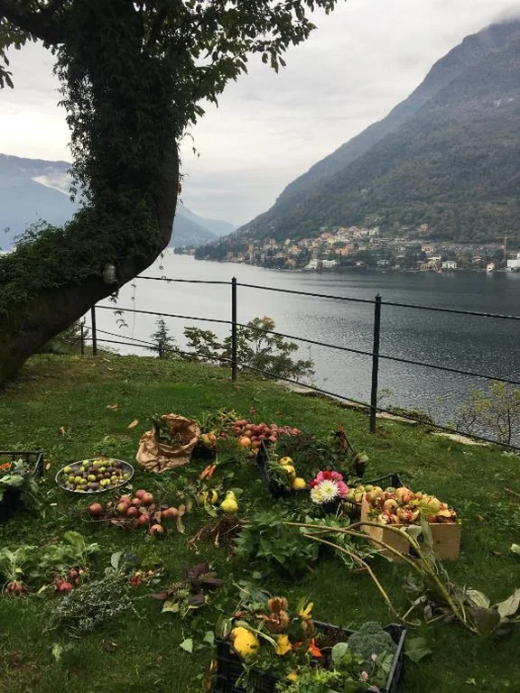 Casa con 1 Camera da Letto — Casa Vacanza Castagna